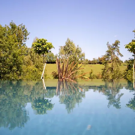Privee 230m2/ Piscine Debordement/billard-babyfoot-boulodrome-flipper/strasbourg * Dettwiller