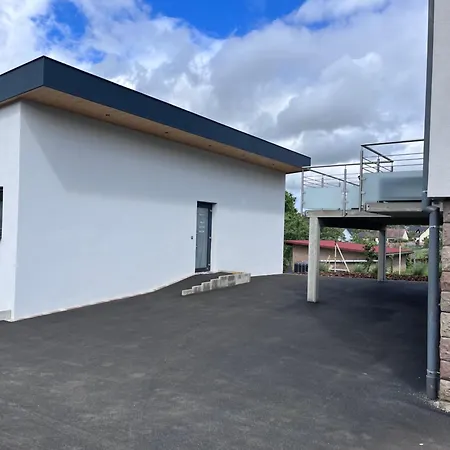 Vila Privee 230m2/ Piscine Debordement/billard-babyfoot-boulodrome-flipper/strasbourg