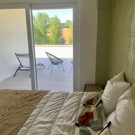 Vila Privee 230m2/ Piscine Debordement/billard-babyfoot-boulodrome-flipper/strasbourg Dettwiller