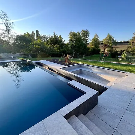 Privee 230m2/ Piscine Debordement/billard-babyfoot-boulodrome-flipper/strasbourg Villa *