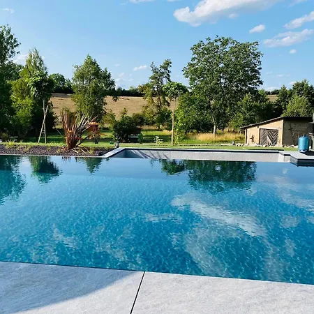 Privee 230m2/ Piscine Debordement/billard-babyfoot-boulodrome-flipper/strasbourg فيلة