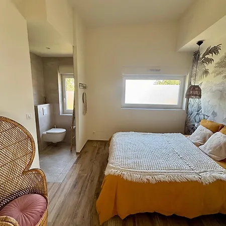 Villa Privee 230m2, Piscine-spa- Salle De Jeux 35min Train Strasbourg